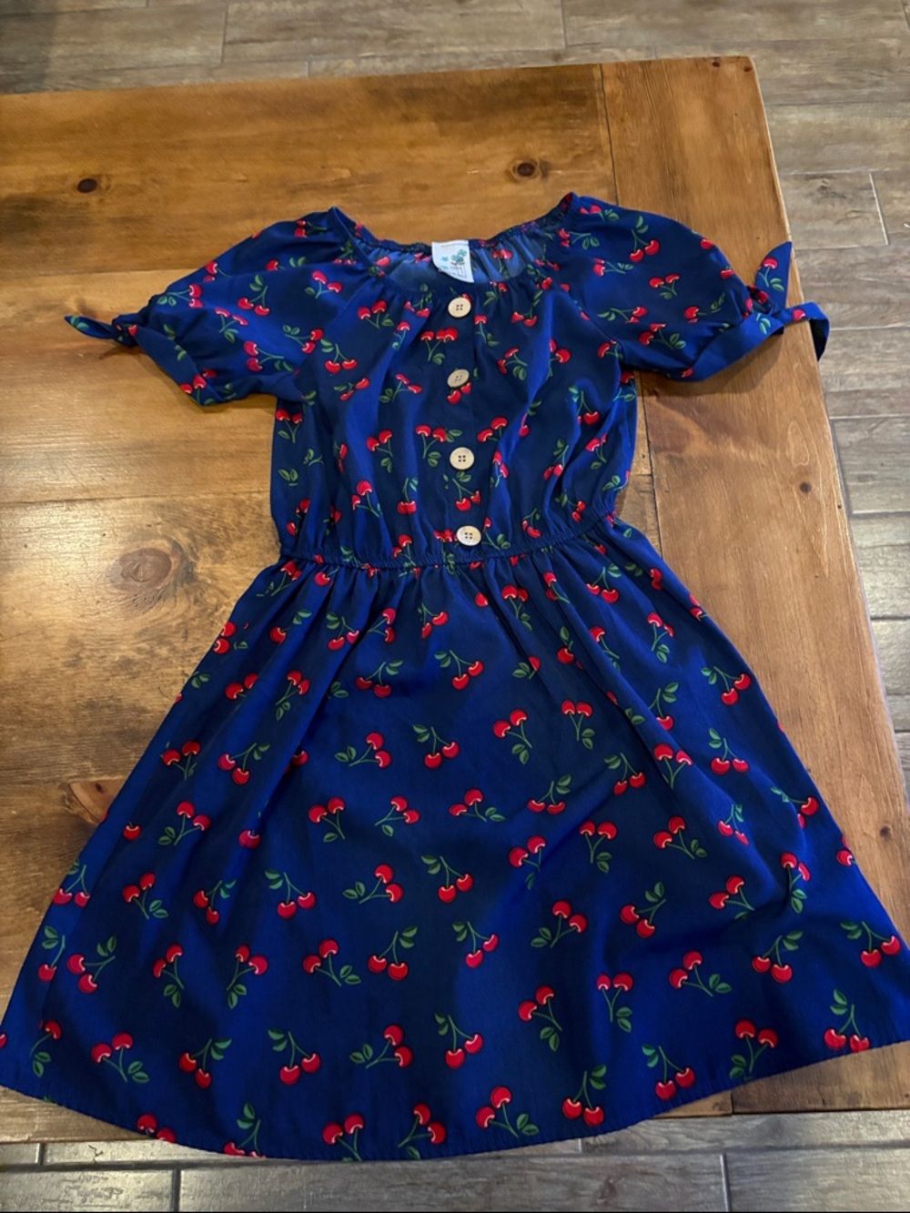 Lily Bleu Navy Dress with Red Cherry Print